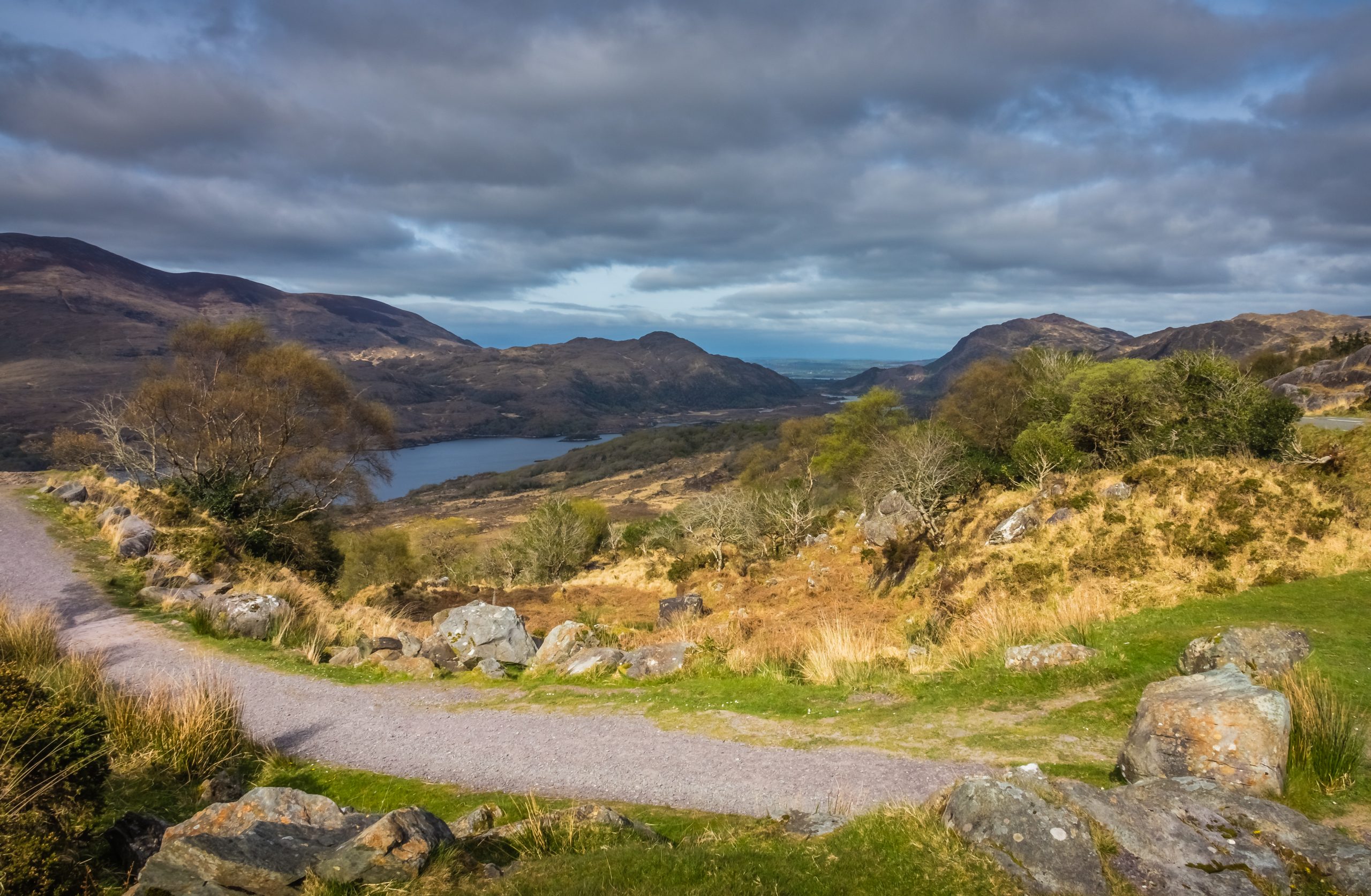 Walking path in the Killarney National Park, Ireland